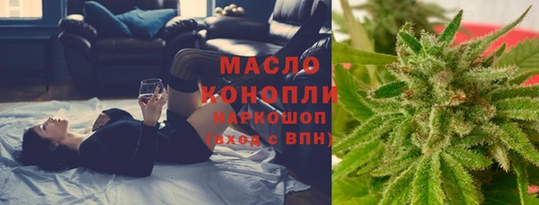 шишки Кодинск