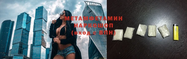 шишки Кодинск