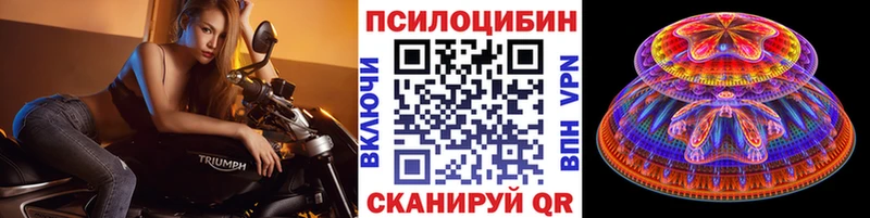 Псилоцибиновые грибы Psilocybe Купить где Горняк